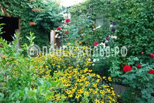 «Домик у моря», Саки