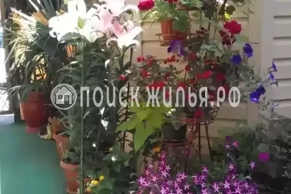 Гостевой дом «Уютный дом», Адлер