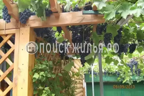 «Алёнушка», Евпатория «Алёнушка», Евпатория