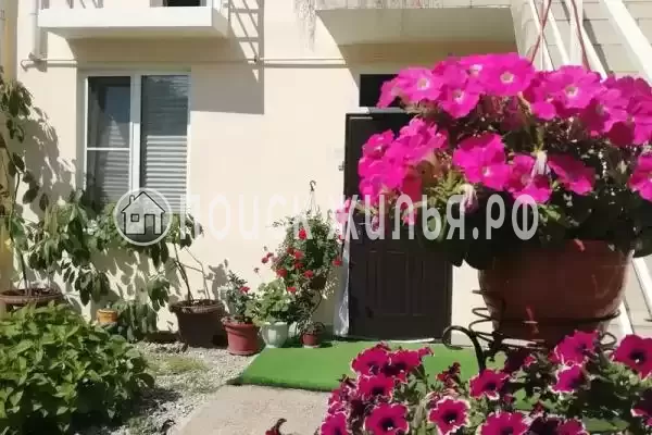 «Чайка», Адлер