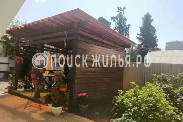 «Чайка», Адлер