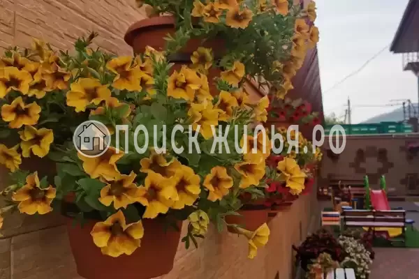 Гостевой дом «Абсолют», Геленджик Гостевой дом «Абсолют», Геленджик