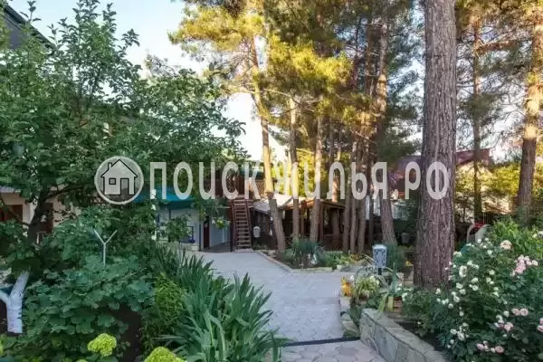 «Чайка», Дивноморское «Чайка», Дивноморское