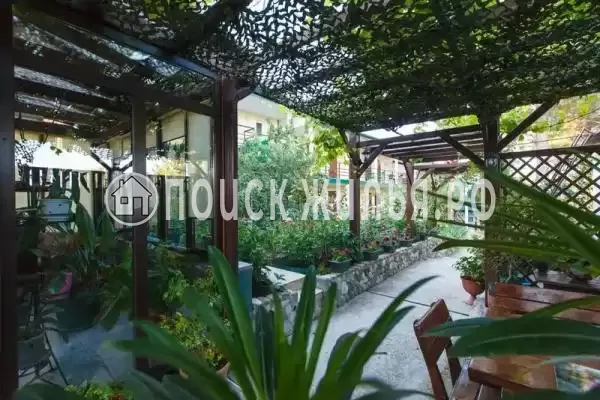 «Чайка», Дивноморское «Чайка», Дивноморское