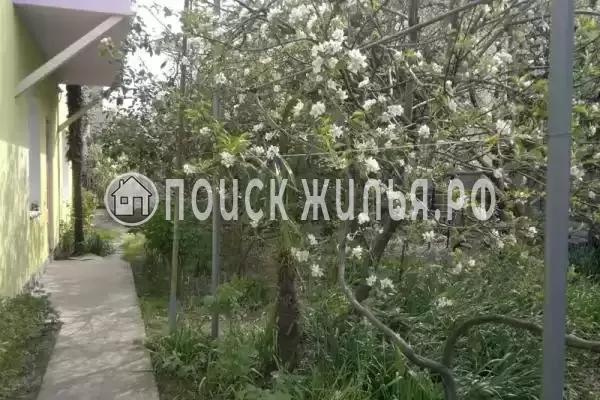 «Фиалка», Адлер «Фиалка», Адлер