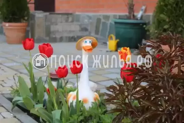 «Ассоль», Кабардинка «Ассоль», Кабардинка