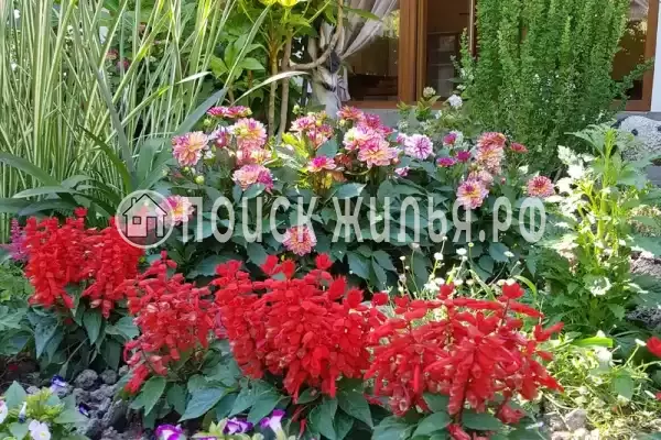 «У Евы», Вардане