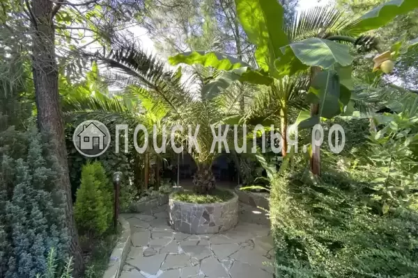 «Зеленый дворик», Адлер