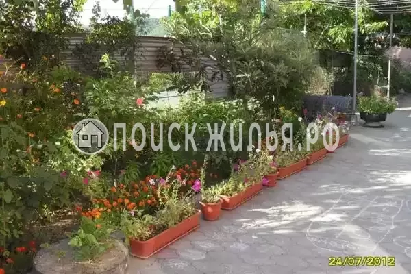 «У Анны», Вишневка