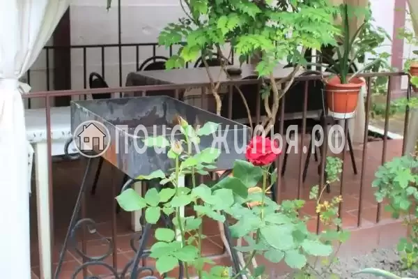 Шевченко, д.62, Геленджик Шевченко, д.62, Геленджик