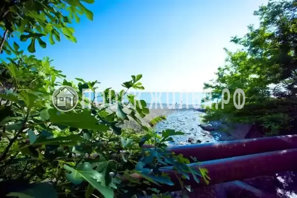 Гостевой дом «0 метров до моря», Гагра