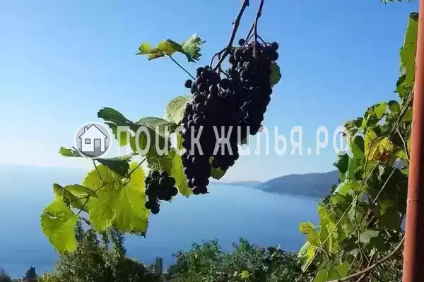 Гостевой дом «0 метров до моря», Гагра