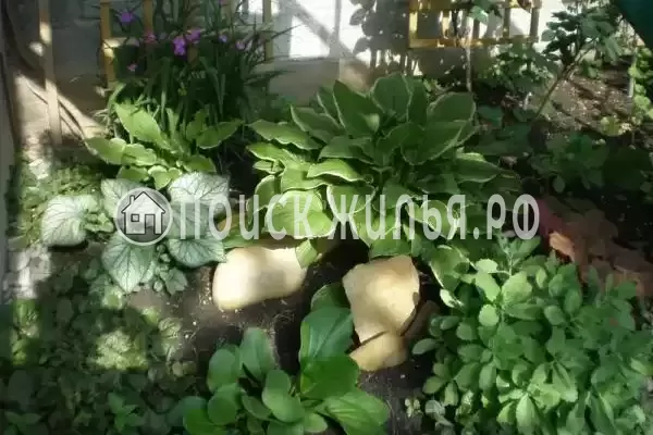 «Уютный дворик», Геленджик «Уютный дворик», Геленджик