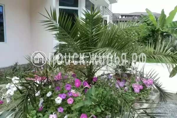 «Элеонора», Лоо