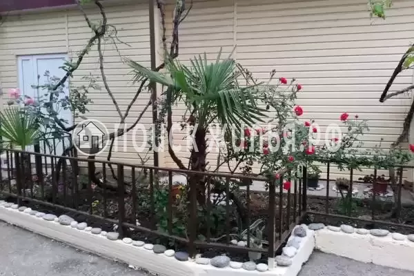 Гостевой дом «Орхидея», Республика Абхазия, Гагра, Кольцевая, д.7