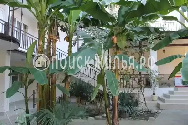 «У Александра», Лазаревское «У Александра», Лазаревское