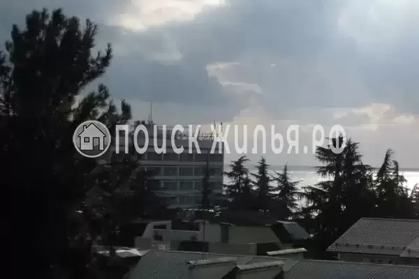 «Любава», Лазаревское «Любава», Лазаревское