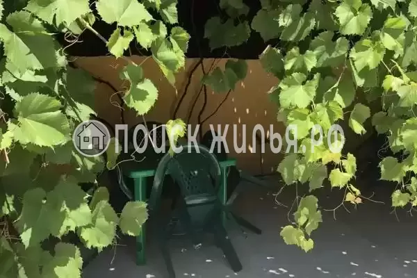 «Нина», Ольгинка «Нина», Ольгинка