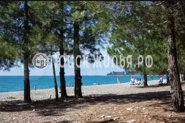 Частный сектор «ЭкоХаус», Пицунда Частный сектор «ЭкоХаус», Пицунда