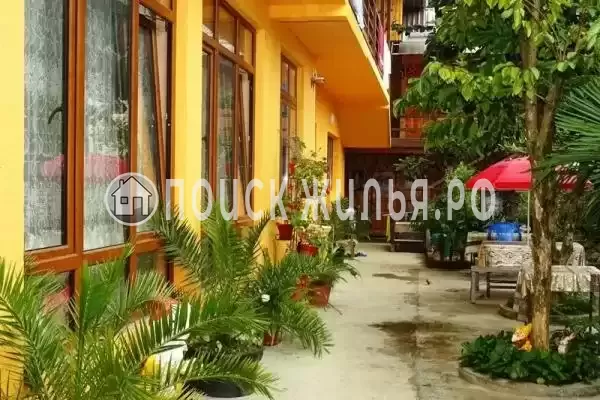 Частный сектор «В гостях у Ангелины», Хоста Частный сектор «В гостях у Ангелины», Хоста