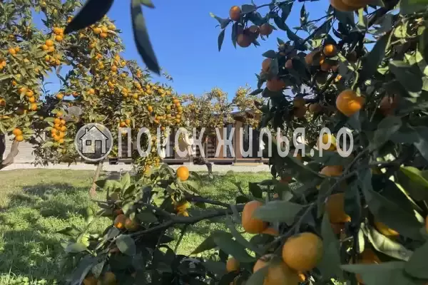 Дом под ключ «FUSION», Сухум Дом под ключ «FUSION», Сухум