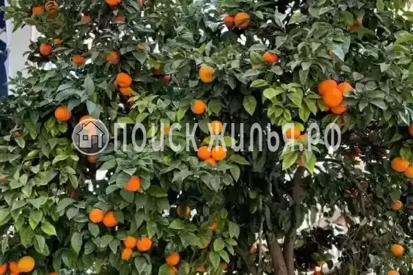 Гостиница «Аква Вилла Багмаран», Сухум Гостиница «Аква Вилла Багмаран», Сухум