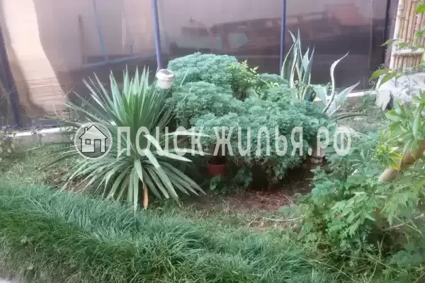 Гостевой дом «Цитрон», Гагра