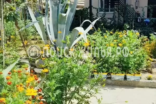 «Valery», Адлер