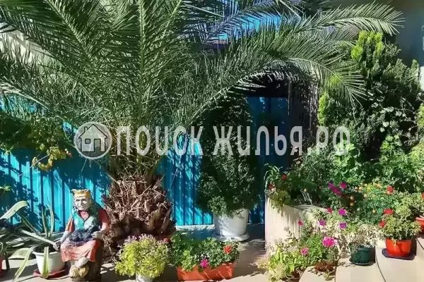 Частный сектор «Парус», Лазаревское