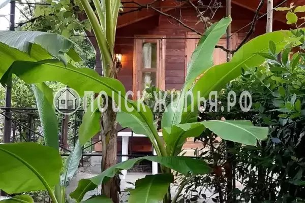 База отдыха «Эвкалипт», Гагра База отдыха «Эвкалипт», Гагра