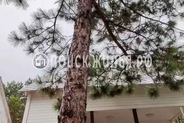 «Арбат-Абрау», Абрау-Дюрсо «Арбат-Абрау», Абрау-Дюрсо