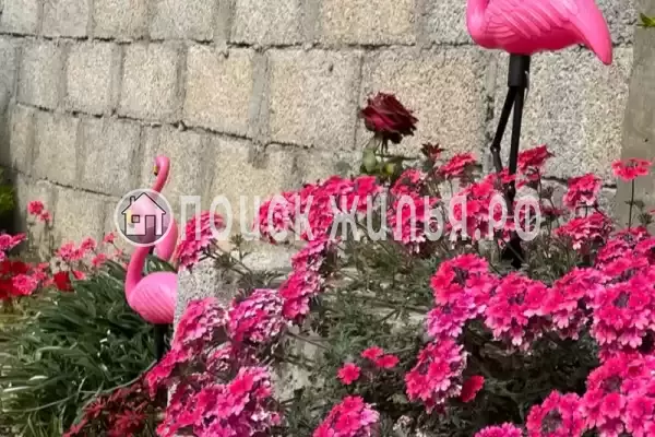 Гостевой дом «У Марины», Цандрипш