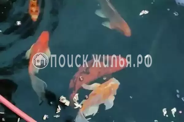 Дом под ключ «Как Дома», Ейск Дом под ключ «Как Дома», Ейск