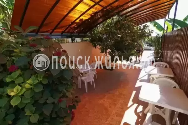 «Адлерский бриз», Адлер