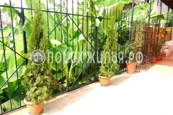 «Адлерский бриз», Адлер