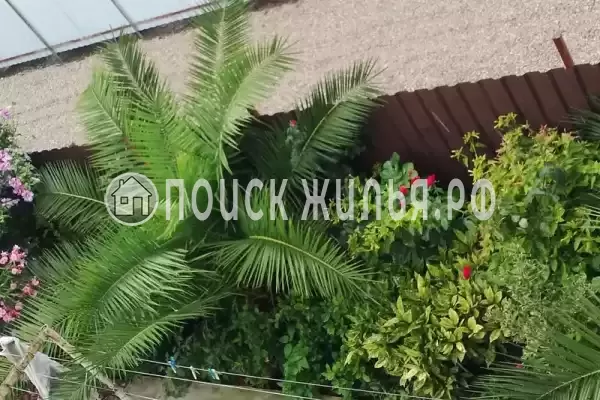 Гостевой дом «MariAnna», Гагра