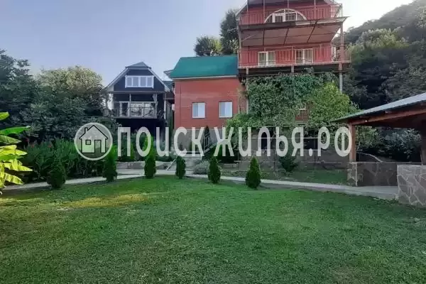 «LETOMORE», Пляхо