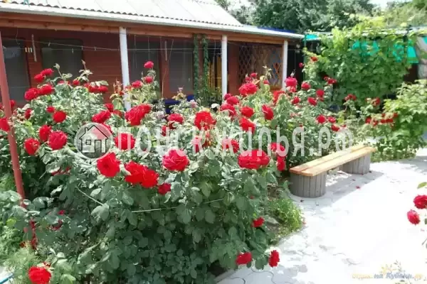 «Астери», Кучугуры «Астери», Кучугуры