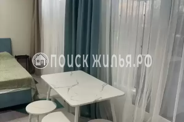 «Парус», Хоста «Парус», Хоста