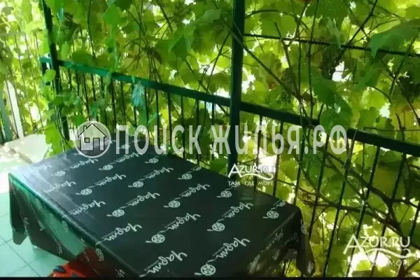 Частный сектор «Коттедж Татьяна», Ольгинка Частный сектор «Коттедж Татьяна», Ольгинка