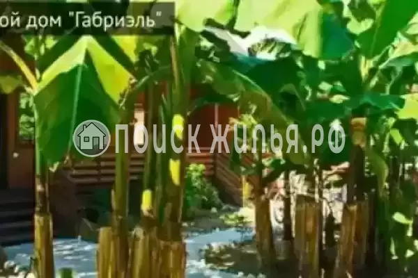 Гостевой дом «Габриэль», Лдзаа