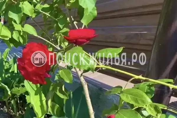 «На Енисейской», Лоо