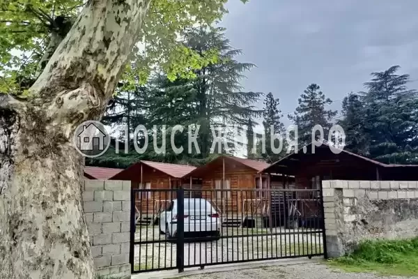 Частный сектор «Домики у моря», Пицунда Частный сектор «Домики у моря», Пицунда