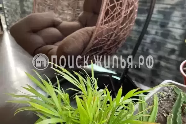 «На Изумруде», Адлер