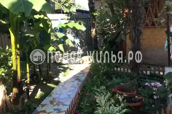 «Лазурит», Головинка «Лазурит», Головинка