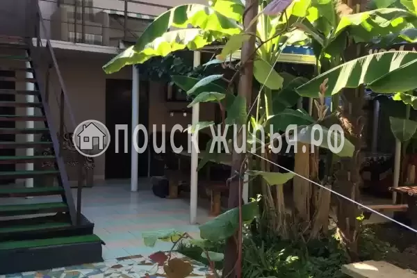 «Лазурит», Головинка «Лазурит», Головинка