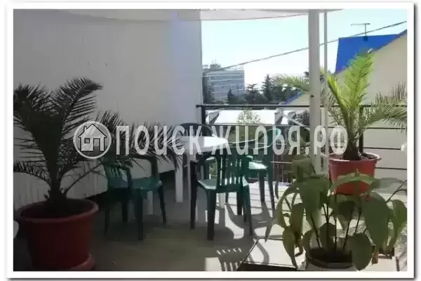 «Мирная 12», Лазаревское «Мирная 12», Лазаревское