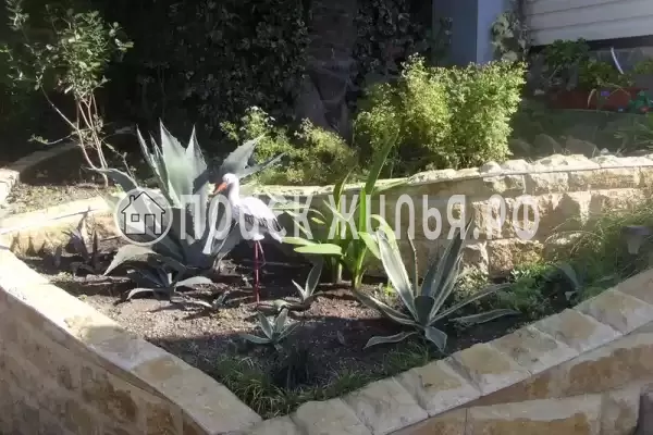 «Мирная 12», Лазаревское «Мирная 12», Лазаревское