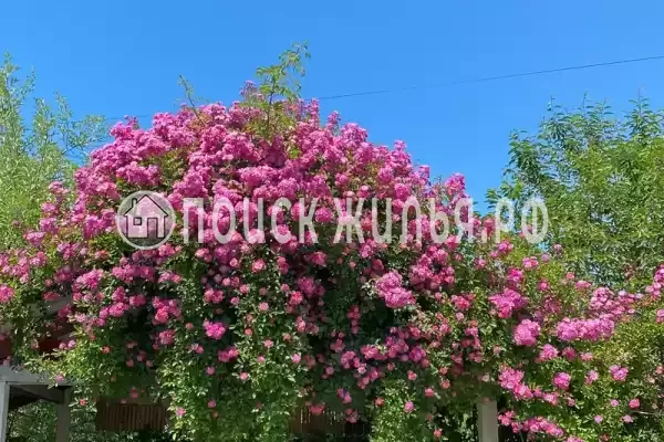 Гостевой дом, пр-кт Аиааира, д.290, Сухум Гостевой дом, пр-кт Аиааира, д.290, Сухум