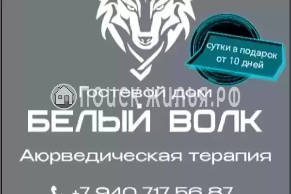 Гостевой дом «Белый Волк », Сухум